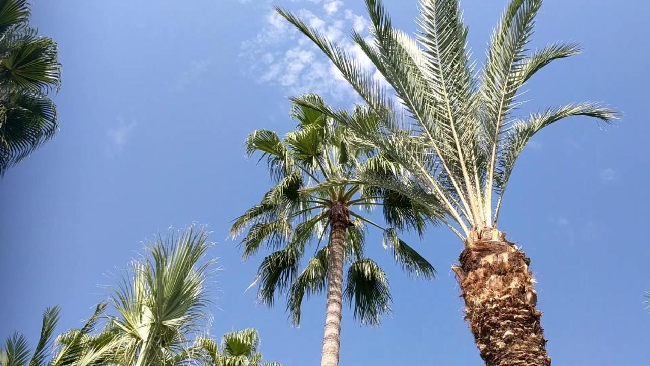 Fantastic 1 Bed Apartment By The Sea Opposite 4 Seasons 레메소스 외부 사진