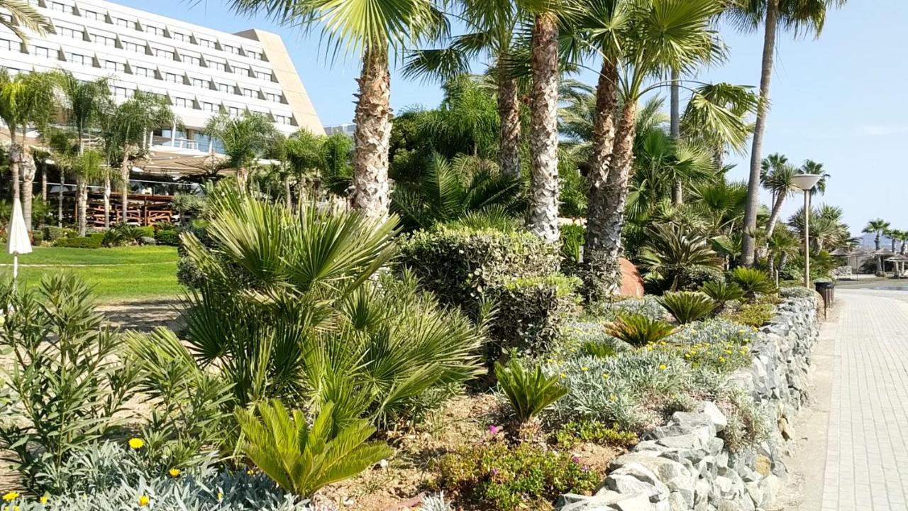 Fantastic 1 Bed Apartment By The Sea Opposite 4 Seasons 레메소스 외부 사진
